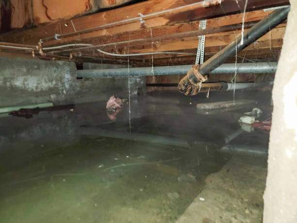 Best Water damage restoration near me  in North Merrick, NY