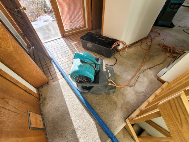 Best Water damage restoration insurance claims  in North Merrick, NY