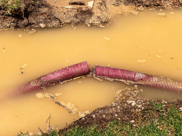 Best Local water damage restoration  in North Merrick, NY