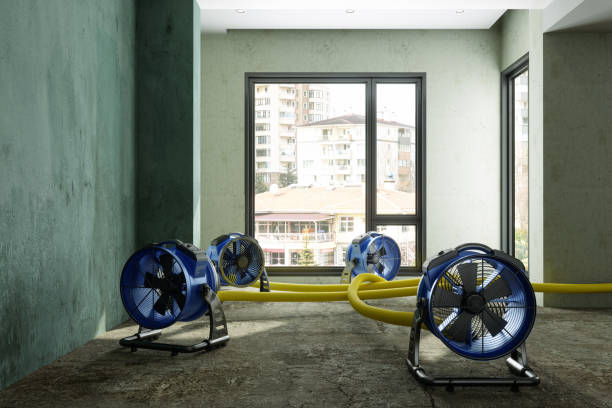 Best Local water damage restoration  in North Merrick, NY